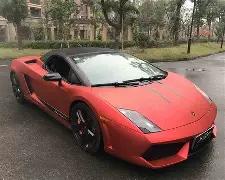 粤港澳体育,合作协议签,湾区体育发,BG真人视讯,BG真人,(Sports),BG视讯官网,BG真人官方平台