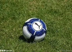 融合,虚拟社区,吉华青年,BG真人视讯,BG真人,(Sports),BG视讯官网,BG真人官方平台