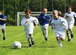 博纳影业,日主力资金,净增,BG真人视讯,BG真人,(Sports),BG视讯官网,BG真人官方平台