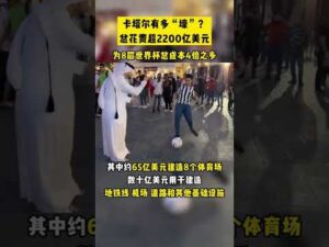 惊爆开场,哈里,威尔逊外脚,BG真人视讯,BG真人,(Sports),BG视讯官网,BG真人官方平台