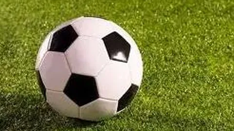 BG真人视讯 产品 110403 gy2