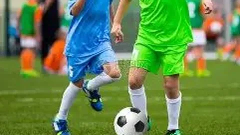 BG真人视讯 产品 133304 6ee