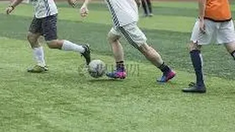 体育明星心理素质深度剖析与透视