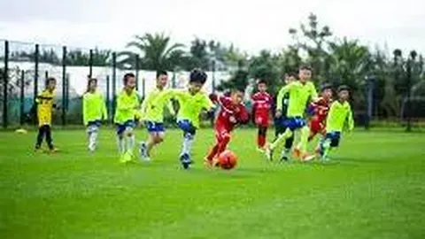 BG真人视讯 资讯 104113 ndq