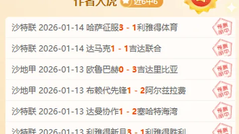 中国首座高风速海域海上光伏项目成功实现首期并网发电